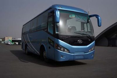 Jiefang Automobile CA6900LRD21 coach