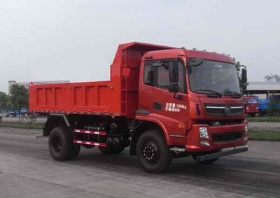 Nanjun CNJ3120ZRPA42MDump truck