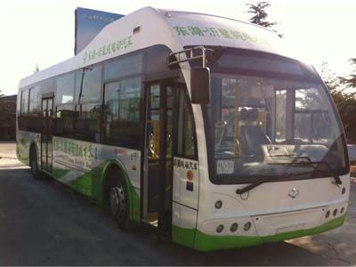 Feiyan SDL6120EVG7Pure electric city buses