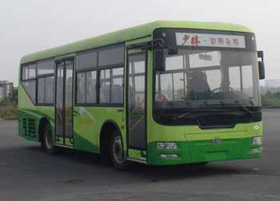 Shaolin  SLG6890T5GER City buses