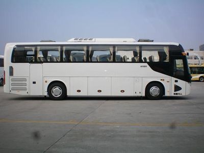 Jinlong  XMQ6113AYN5D coach