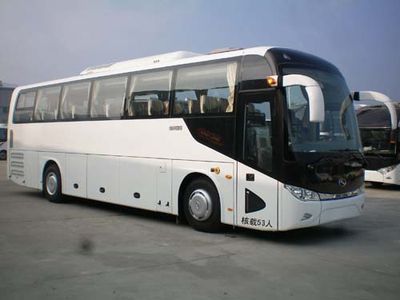 Jinlong  XMQ6113AYN5D coach