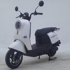 Tailing  TL1000DT65T Electric two wheeled motorcycle