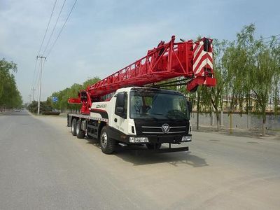 Foton  BJ5303JQZ25 Car crane