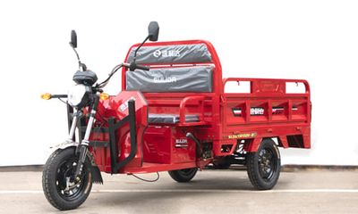 Sulida  SLD1200DZH8D Electric tricycle