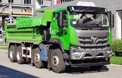 Ouman  BJ3311Y6GRS01 Dump truck