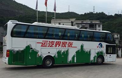 Yuzhou brand automobiles YZ6120YLGK0Z coach