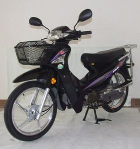 Dayang DY904CTwo wheeled motorcycles