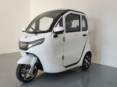 Dongwei  DW1500DZK3 Electric tricycle