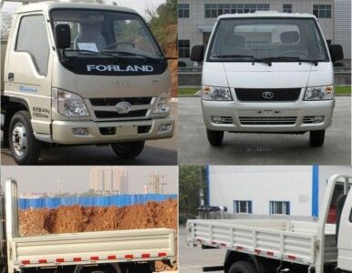 Foton  BJ3042D8JBAG1 Dump truck