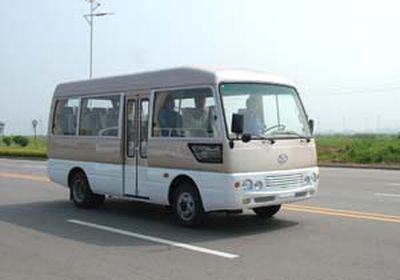 Dongyu  NJL6603 coach