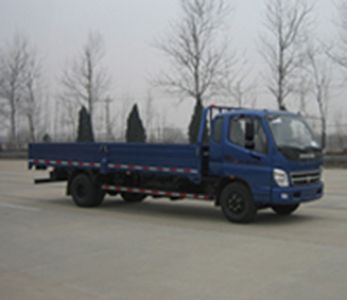 Foton  BJ1101VEPFDS Truck