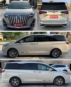 Juchen Ace Car HNY5025XSWB Business vehicle