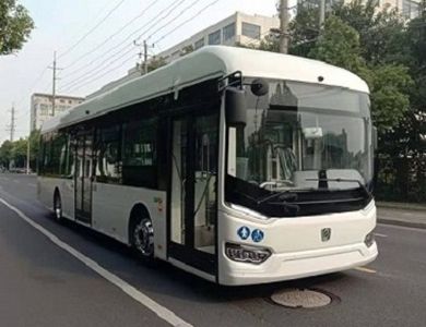 Shenwo  SWB6129BEV39G Pure electric low floor city buses