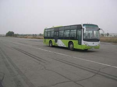 Huanghai  DD6118K22 coach