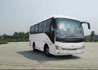 HagridKLQ6909KAE52Dcoach