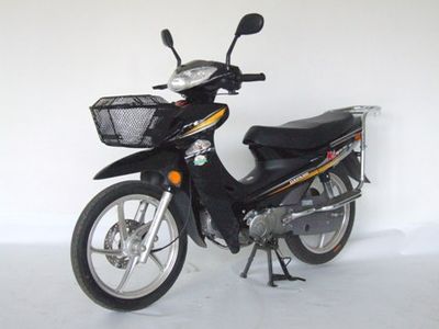 Dayang  DY12510A Two wheeled motorcycles