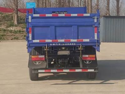 Shifeng  SSF3046DDJ41DS Dump truck