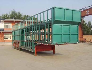 Yongkang  CXY9180TCL Vehicle transport semi-trailer