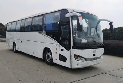 HagridKLQ6121YAE61coach