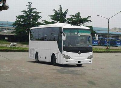 Yaxing  YBL6990H coach