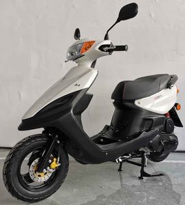 Yizhu  YZ110T5 Two wheeled motorcycles