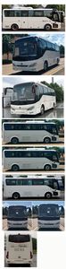 Chinese license plate cars TEG6800BEV02 Pure electric city buses