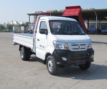 Ace car CDW1031N2M5Q Truck