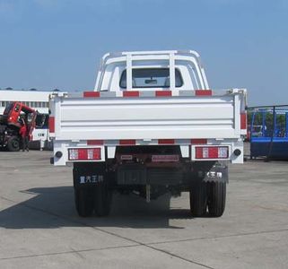 Ace car CDW1031N2M5Q Truck