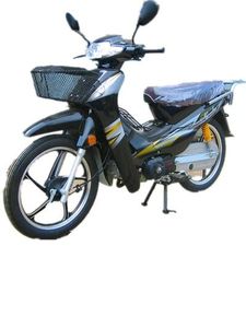 Xunlong  XL48QA moped with two wheels 