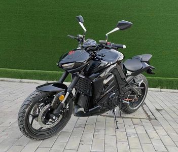 Xinlun  XL3000D Electric two wheeled motorcycle