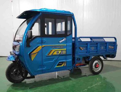 Green Source  LY1200DZH Electric tricycle