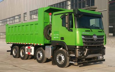 Ouman  BJ3319Y6GRL82 Dump truck