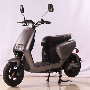 Weiniu  WN1000DQT Electric two wheeled light motorcycle