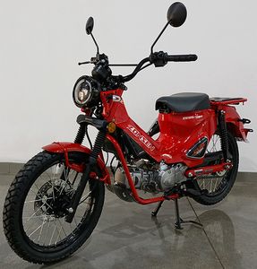 Zongshen brand automobiles ZS12517A Two wheeled motorcycles