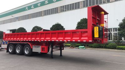 Xinjingchu  JCX9401ZHX tipping chassis 