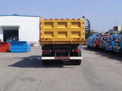 Dayun  DYX3251PA41WPD3D Dump truck