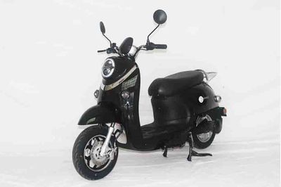 Hao Naiqi  HNQ500DQT5 Electric two wheeled light motorcycle