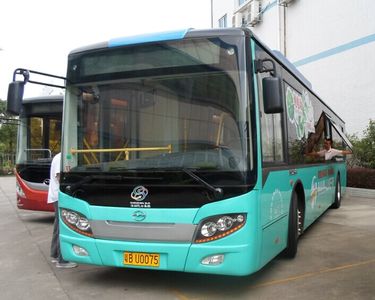 Wuzhoulong  FDG6113EVG13 Pure electric city buses