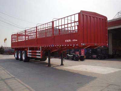 Enxin Business Brand Automobile HEX9408CCY Gantry transport semi-trailer