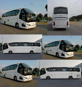 Yaxing  YBL6125H1QCE1 coach