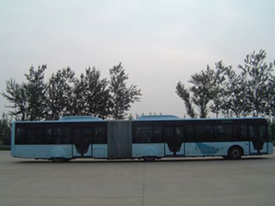 Youth  JNP6180G Luxury City Bus