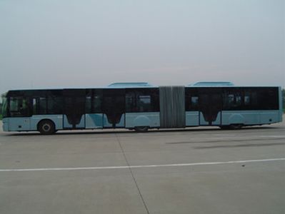 Youth  JNP6180G Luxury City Bus