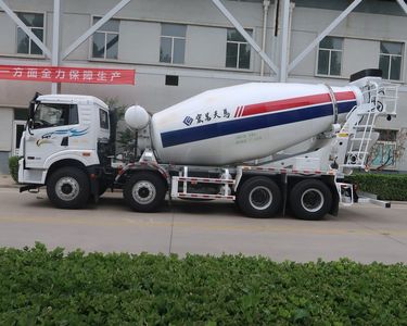 Hongchang Tianma  HCL5312GJBCAN29H5 Concrete mixing transport vehicle