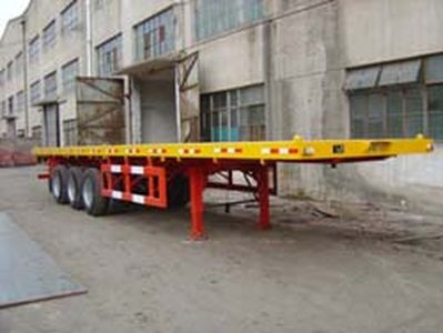 Dongbao  LY9391TJZP Container transport semi-trailer