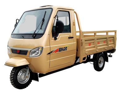 New Pigeon  XG3000DZH3 Electric tricycle