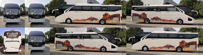 Hagrid KLQ6127BAE52 coach