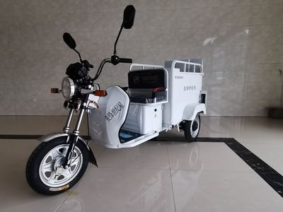 Pioneer Century Star XF1500DZHW2 Electric tricycle