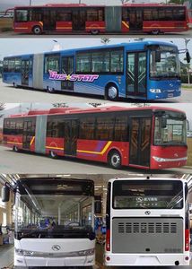 Jinlong  XMQ6180AGD5 Articulated city bus