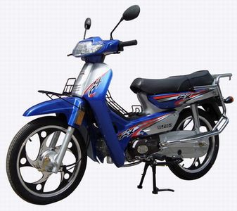 New Feeling  XGJ1005 Two wheeled motorcycles